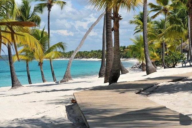 Scuba Diving at Catalina Island - 2 tank | 2 spots - Punta Cana transport: meeting point timing and the real-world chaos risk
