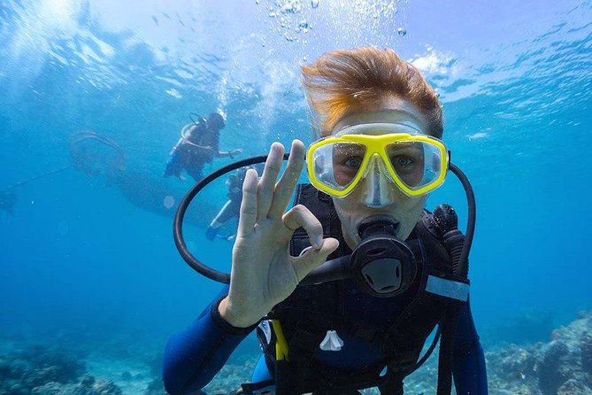 Scuba Diving at Catalina Island - 2 tank - for Certified Divers - Key things I’d zero in on