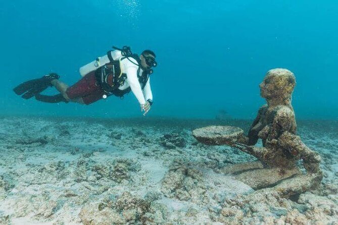 Scuba Diving at Catalina Island - 2 tank - for Certified Divers - Logistics you should plan around: group caps, proof, and real weather risk