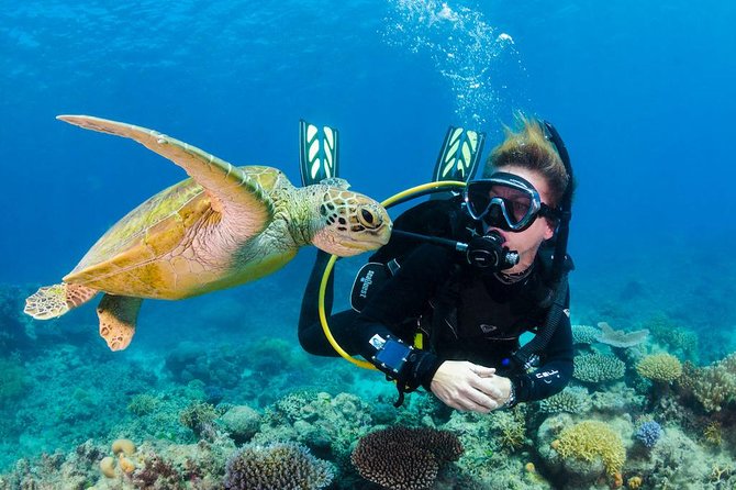 Scuba Diving on Catalina Island | 2 tanks, 2 spots - Key Highlights at a Glance