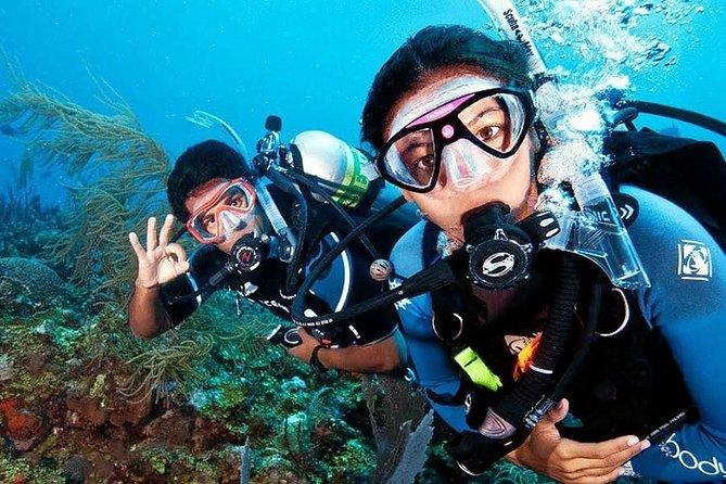 Scuba Diving on Catalina Island | 2 tanks, 2 spots - Hotel Pickup and the 7:30 a.m. Start That Shapes Your Day
