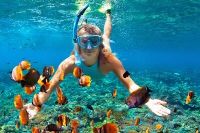 Scuba Diving on Catalina Island | 2 tanks, 2 spots - Stop One at El Acuario: The Shallow Reef Scene (3–6 m)