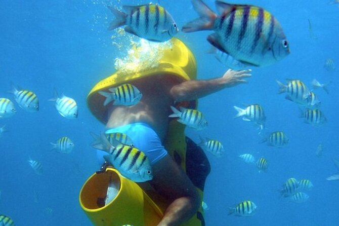 Scuba Doo Diving Scooters in Punta Cana - Scuba Doo Scooters in Punta Cana: The Big Idea