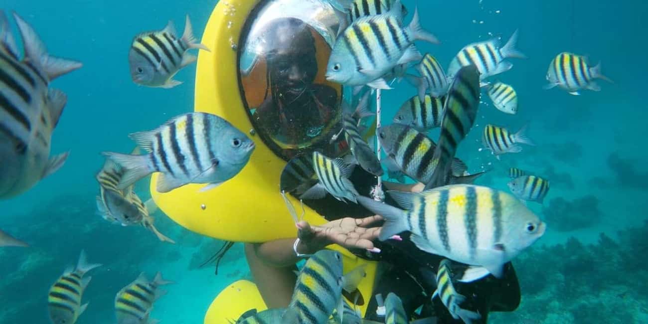 Scubadoo Punta Cana Diving Adventure - Glass-Bottom Boat Warm-Up: Seeing Before You Go Under