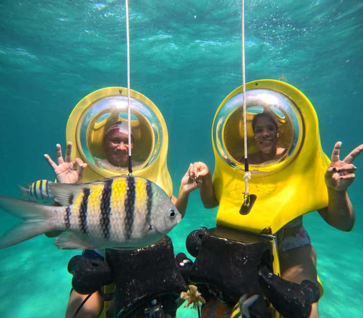 Scubadoo Punta Cana Diving Adventure - Marine Life Spotting: How to Get More Than Random Glimpses