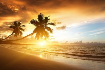 Secrets Royal Beach - Round Trip Shuttle - Punta Cana Airport - Price and Value: Paying $80 for a Private Group Ride