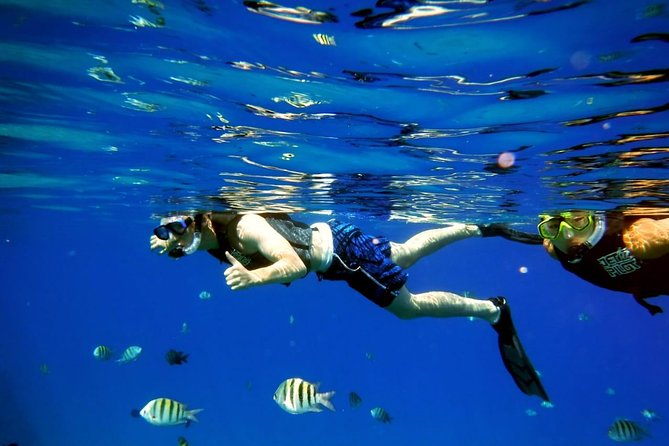 Shared 2 hours Sosúa Bay Snorkeling with Professional Guide - Key things to know before you go