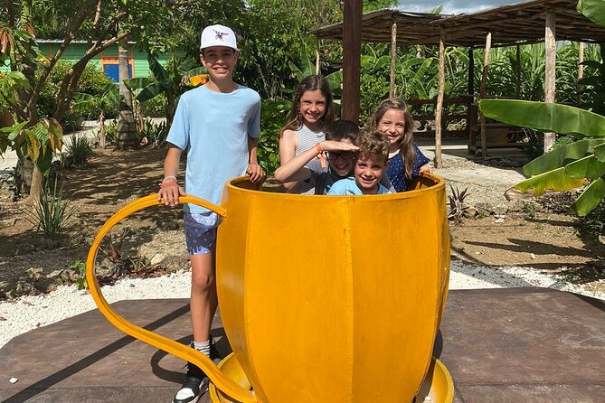 Shared Half-Day Tour in Punta Cana with Local Guide - What $85 Gets You on This 4-Hour Cultural Route