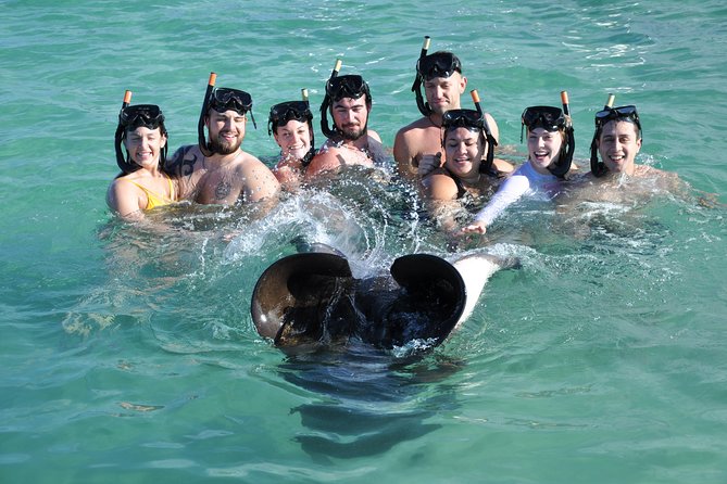 Sharks & Stingrays Encounter and Small Boat Ride from Punta Cana - Price and Value: Is $95.72 Worth It?