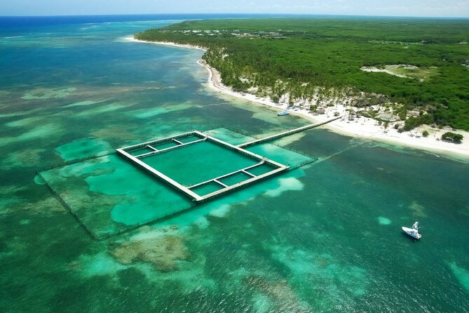 Sharks & Stingrays Snorkeling in Punta Cana with Parasailing - Price and Value: Is $169 Worth It Here?