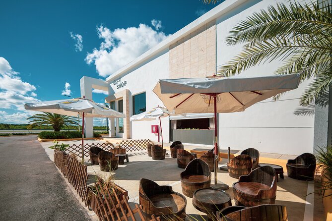 Shopping Tour in Punta Cana with Round Trip Transportation - What the 3-Hour Timing Means (And Where People Can Feel Shorted)