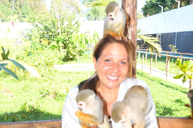 Shore Excursion Monkey Encounter and Puerto Plata City Tour - Fifi Jewelry and Cigar Store Area: Amber Museum Focus