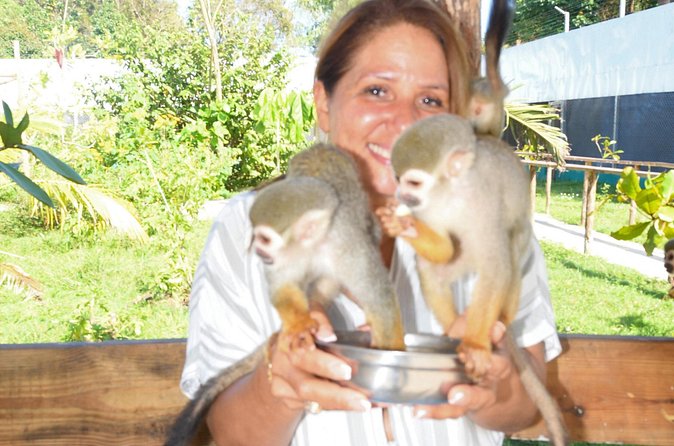 Shore Excursion Monkey Encounter and Puerto Plata City Tour - Parque Central Independencia: Where You Can Stand Still for a Bit
