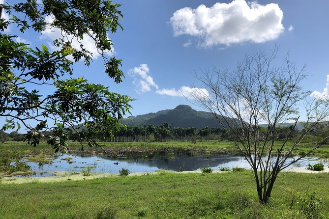 Shore Excursion: V.I.P. DayPass: ATV, Zip Lines, Horseback Riding & Lunch - Zip line circuit with 8 lines and the Pool-Zip N’ Splash plunge