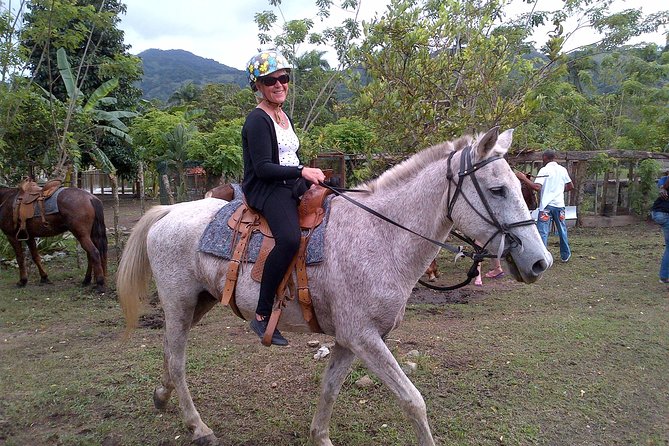 Shore Excursion: V.I.P. DayPass: ATV, Zip Lines, Horseback Riding & Lunch - Horseback riding: matching the horse to your skill level
