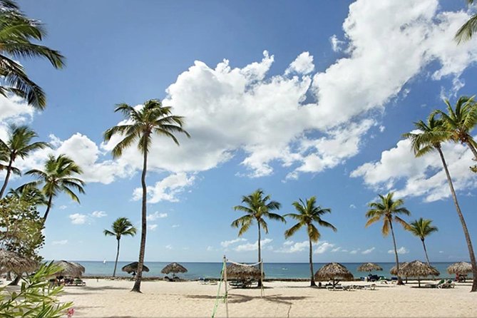 Shore Excursion: Viva Wyndham Resort For The Day With Unlimited Food & Drinks - Viva Wyndham Dominicus Beach day pass: what you’re buying