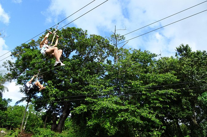 Shore Excursion: Zip Line Adventure - The cruise-day timeline: designed to keep you on schedule