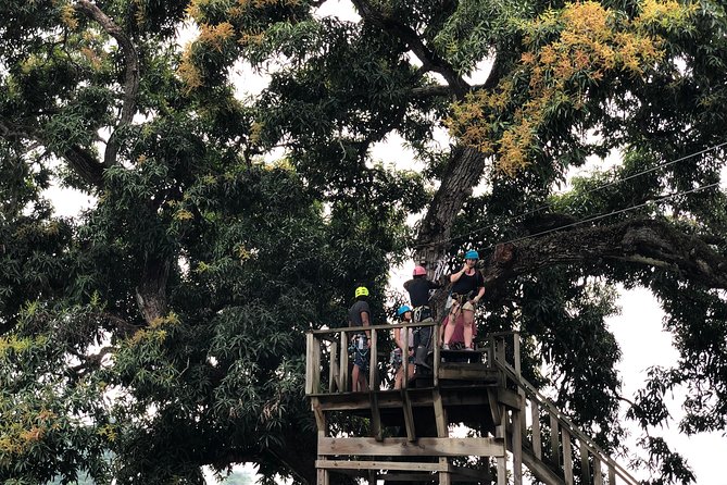 Shore Excursion: Zip Line Adventure - Price check: is $74.99 a good value?