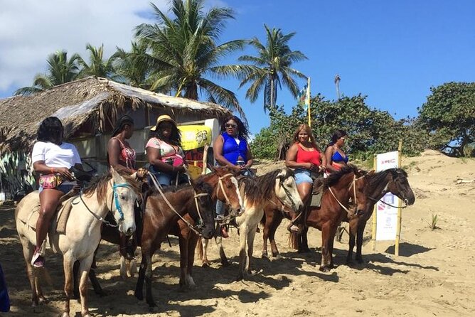 Short Excursion horseback riding tours on the beach and mountain - Stop-by-Stop: What La Boca de Yasica Adds to the Day