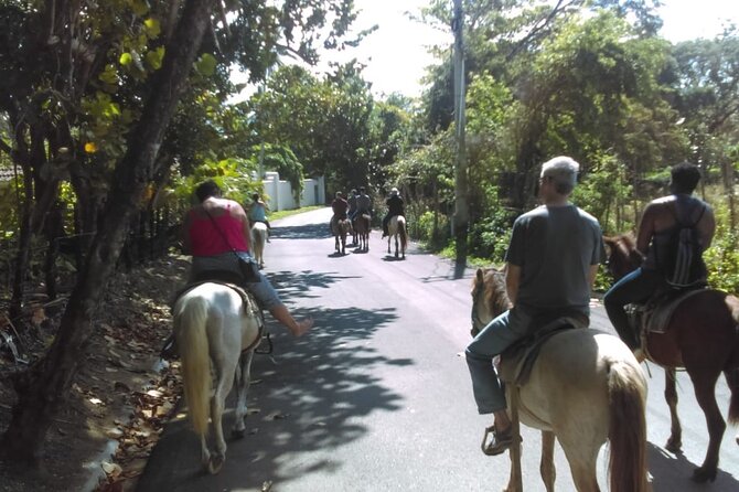 Short Excursion horseback riding tours on the beach and mountain - The Guides: Tony, Abel, and the Whole Professional Setup