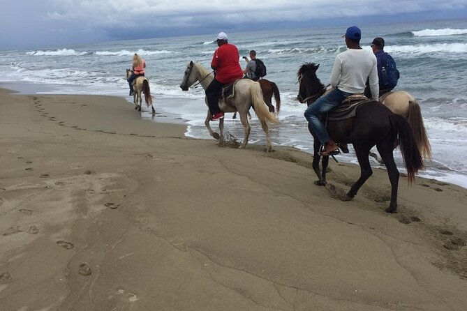 Short Excursion horseback riding tours on the beach and mountain - Where Tony Tours Fits In (and Why Pickup Makes It Easier)