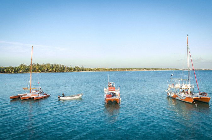 Small-Group Cruising and Snorkeling Catamaran Tour - Who This Catamaran Tour Is Best For