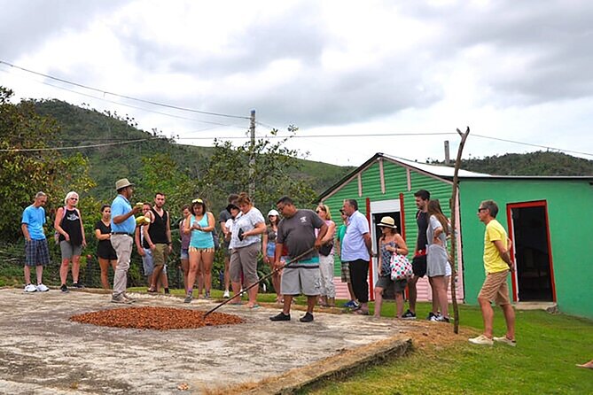 Small Group: Half-Day Cultural Tour of Punta Cana - Anamuya River Walk, Spa Stop, and the Optional Horse Ride