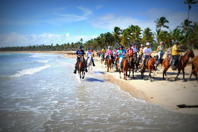 Small-Group Half-Day Horseback Riding Tour from Punta Cana - Key things to know before you ride the Punta Cana beach