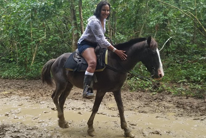 Small-Group Half-Day Horseback Riding Tour from Punta Cana - Why this half-day horseback tour feels like a real getaway