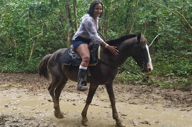 Small-Group Half-Day Horseback Riding Tour from Punta Cana - Riding instruction on a calm, guide-led pace