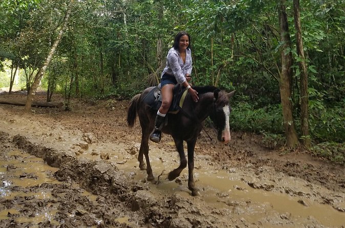 Small-Group Half-Day Horseback Riding Tour from Punta Cana - Price and value: what $70 gets you beyond the horse