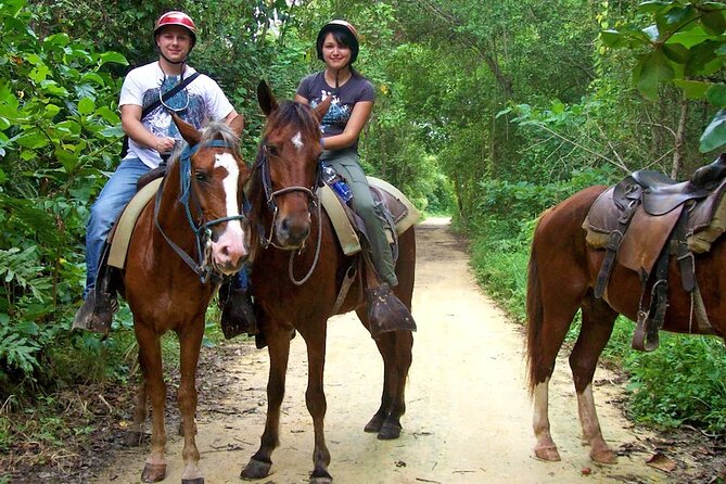 Small Group: Half Day Punta Cana Cultural Tour - Key Highlights (The Stuff You’ll Actually Remember)