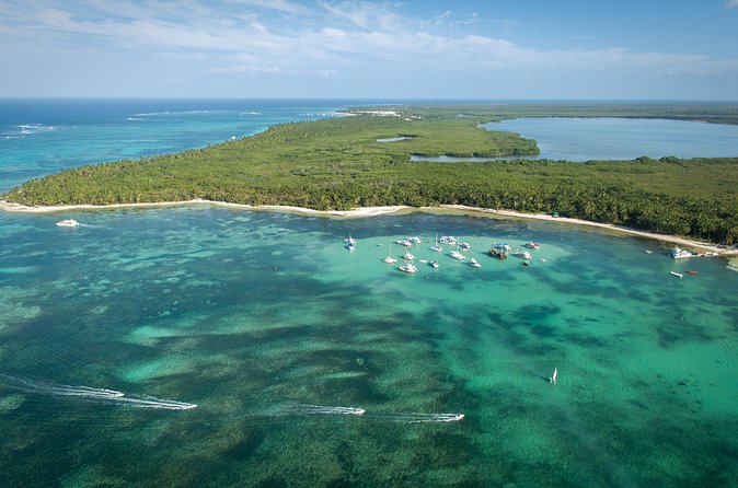 Small Group Punta Cana Snorkeling with Premium Open Bar - Who Should Book This Punta Cana Snorkeling Catamaran