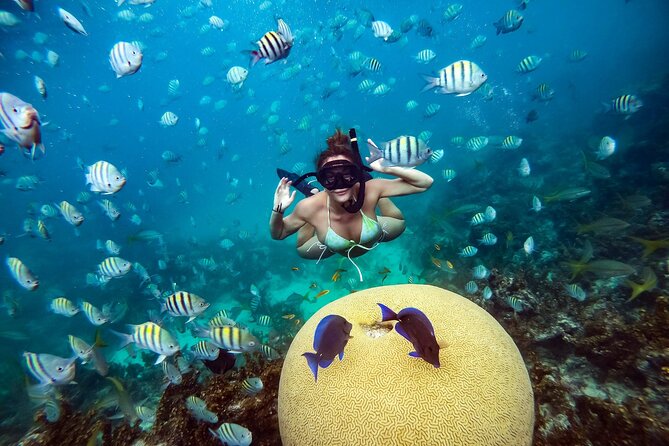 Snorkeling and Swimming on a Caribbean Cruise by Sharky Catamarans - Who should book this Sharky Catamarans snorkeling and swimming tour