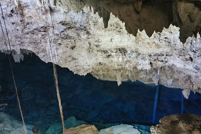Snorkeling in the Cenotes of Bayahibe - The 20-Minute Hike Through Cotubanama: What You’re Actually Doing
