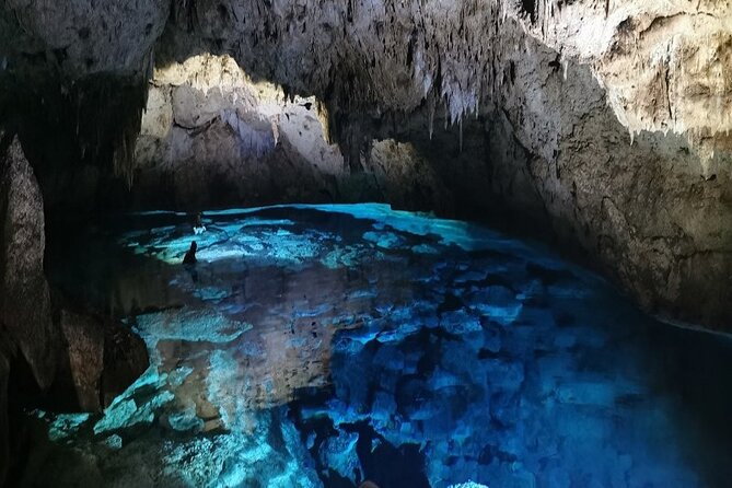 Snorkeling in the Cenotes of Bayahibe - Pickup, Timing, and Getting to the Meeting Point