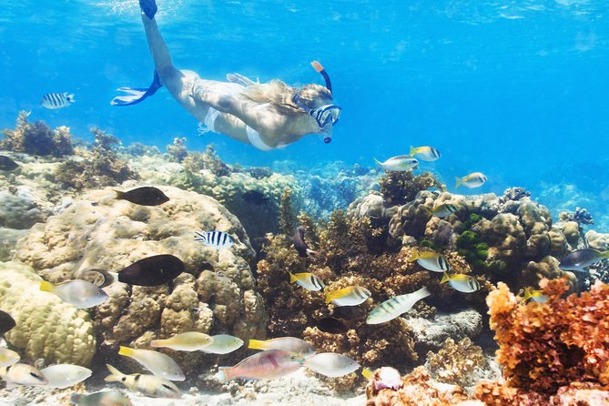 Snuba Snorkelking Parasailing and Catamaran Pack - What to watch for: timing, water conditions, and the drinks on board