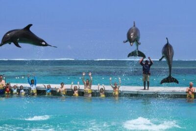 Speed Boat Adventure In Punta Cana - Playa Los Corales: the snorkel stop and what to expect