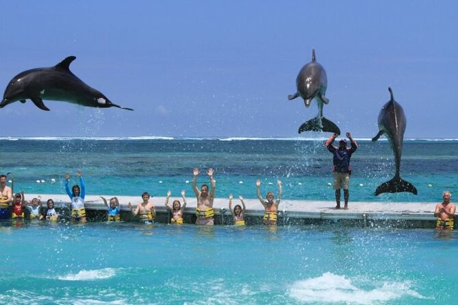 Speed Boat Adventure In Punta Cana - Playa Los Corales: the snorkel stop and what to expect