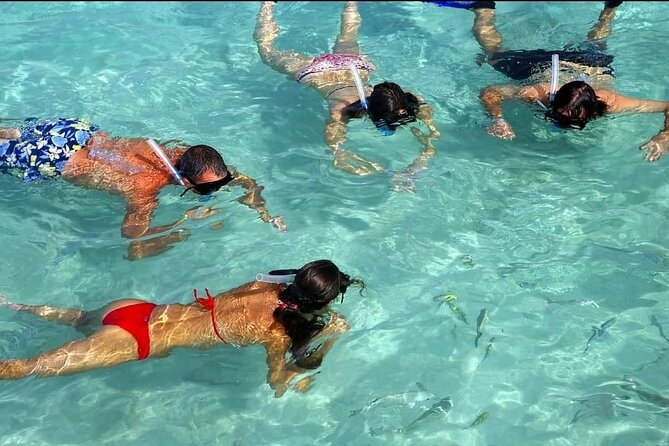 Speed Boat Ride and Snorkel Experience in Punta Cana - The Stops: Coastline, Dolphin Spotting, and Sand-Bar Time