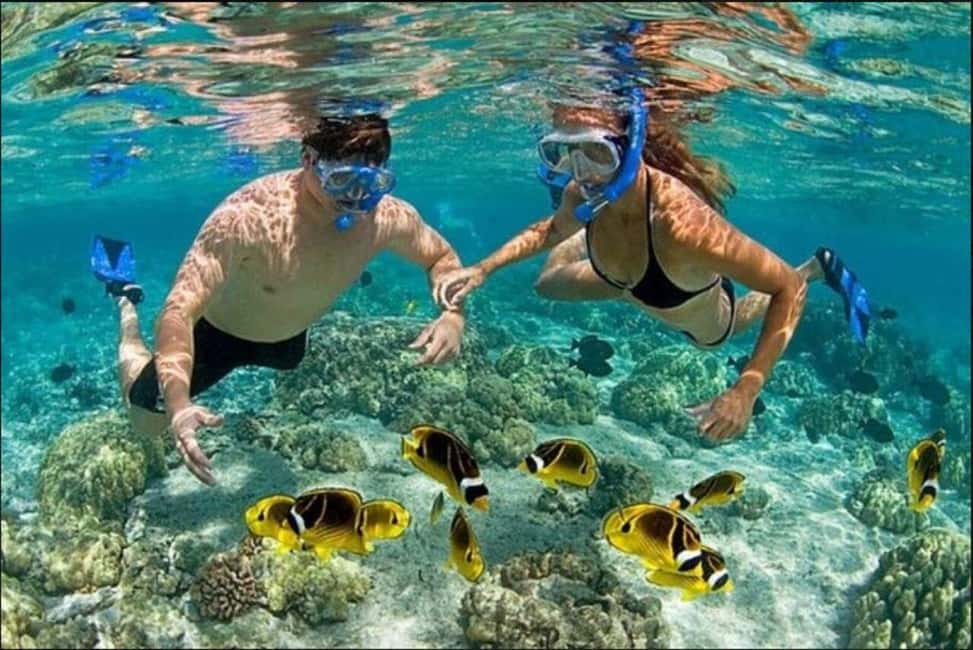 Speedboat Adventure and Snorkeling from Punta Cana - Natural Pool Sandbank: clear water, music from other boats