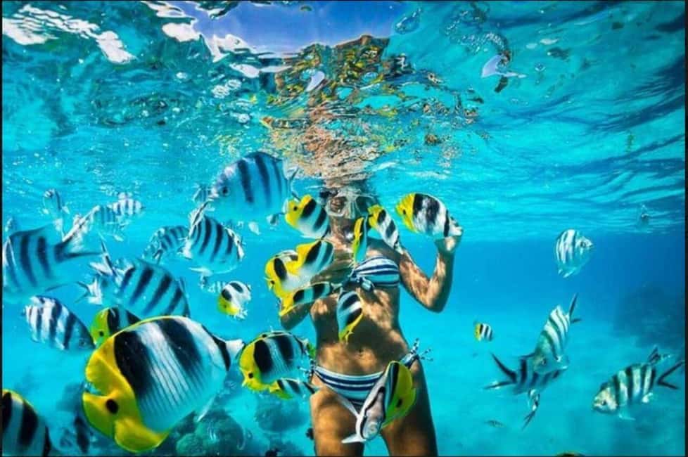 Speedboat Adventure and Snorkeling from Punta Cana - The guide makes the difference: Philippe and the photo angle