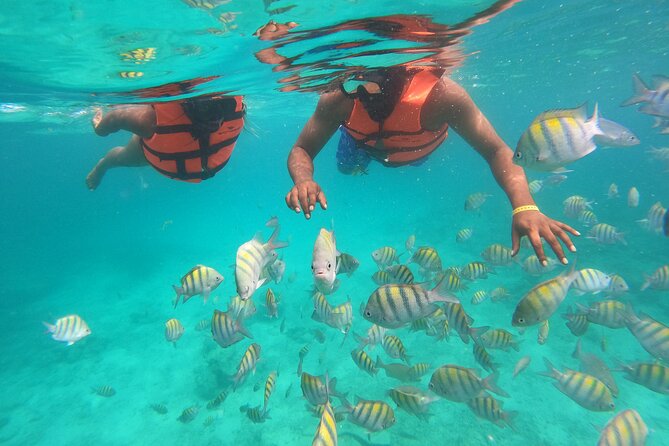 Speedboat Adventure to Snorkeling Spot and Natural Pool - Price and Group Size: Is This Good Value?
