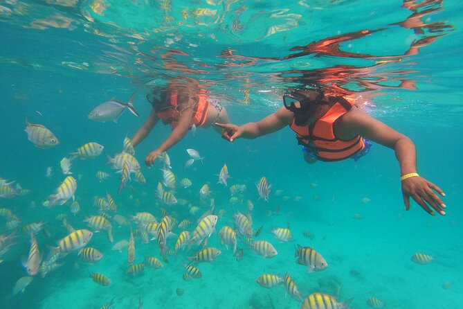 Speedboat Adventure to Snorkeling Spot and Natural Pool - Transportation and Meeting: Mobile Ticket and Pickup Realities