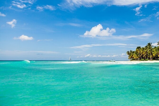 Speedboat Sailing with Snorkeling Experience in Punta Cana - Snorkeling along the reef: coral, fish, and quick stop pacing