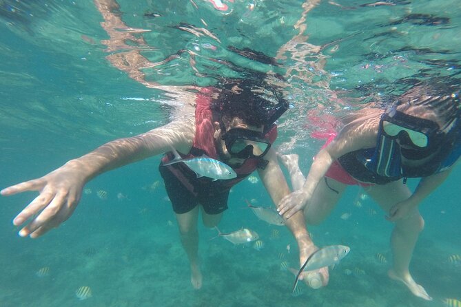 Speedboat Sailing with Snorkeling Experience in Punta Cana - Value check: Is $90 worth it for Punta Cana snorkeling and speed?