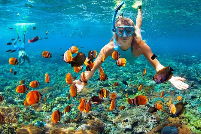 Speedboat & Snorkeling from Punta Cana - Speedboat captain time and snorkeling: how the 4 hours really play out