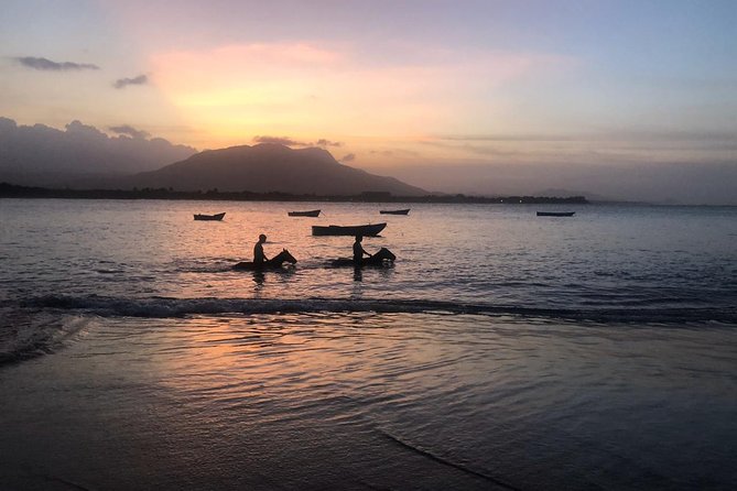 Sunset Beach Horseback Riding - Can you swim with your horse? When it happens and what to do