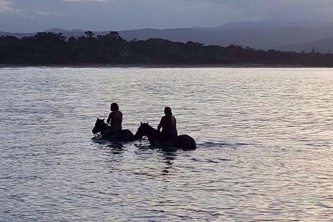Sunset Beach Horseback Riding - Hotel pickup that actually matters (and the zones it skips)