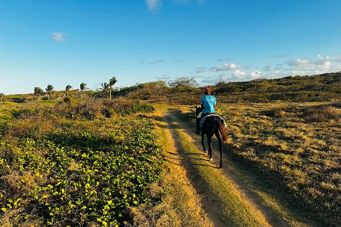 Sunset Horseback Ride at Macao Beach & Forest with Transfers - Entering the 4:30 pm Sunset Zone